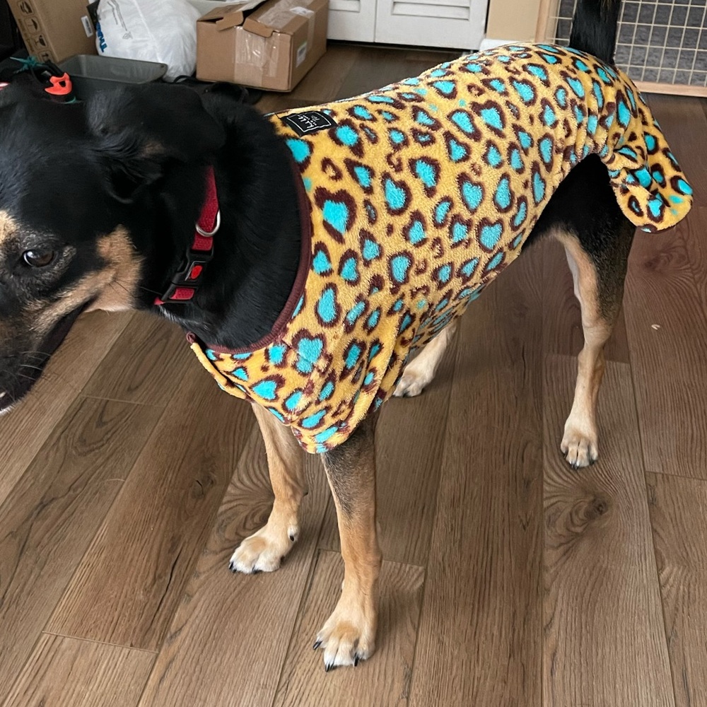 Dog pajamas Velcro closure Size L